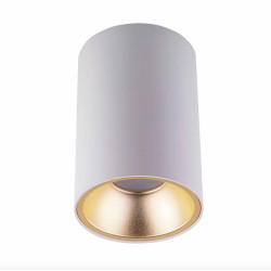 Накладний точковий світильник MJ-Light 8001 WH + 3001R CG (Китай)