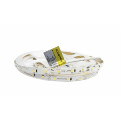 Світлодіодна стрічка 2835-60-IP20-CWb-8-12 RD0860TA-B 13000K CRI80 (12572) RISHANG
